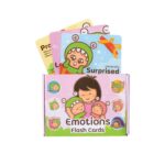 Little Monster Emotions Flash card
